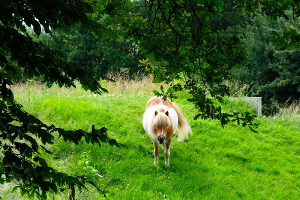 Bekijk foto's